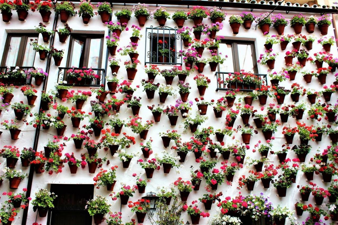 Tendillas Suite Córdoba Kültér fotó